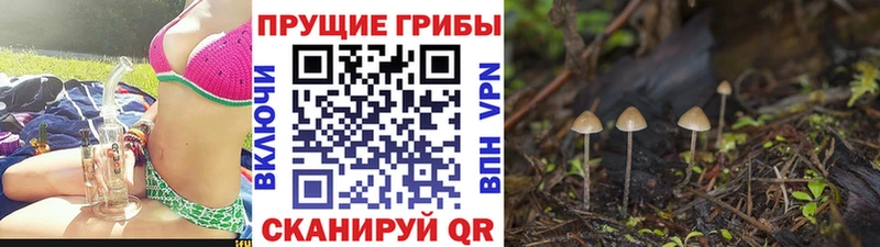 blacksprut сайт  Кодинск  Галлюциногенные грибы мицелий  как найти закладки 